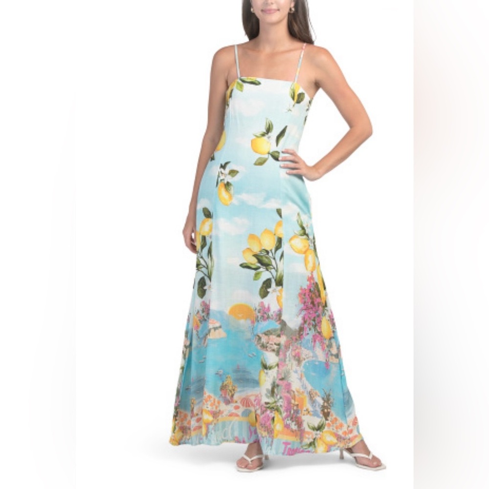 NWT Paper Heart seaside beach scene Lemoncello linen blend Maxi Dress - S